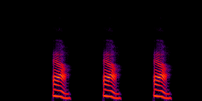 Reference spectrogram
